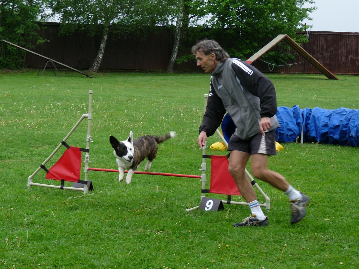 Agility pro všechny Studénka 2012