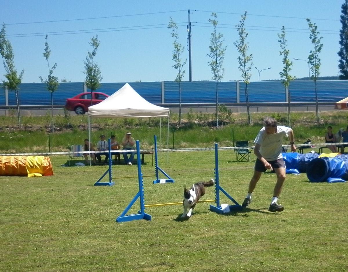 Raječko 16.6.2012 neoficiální závod agility