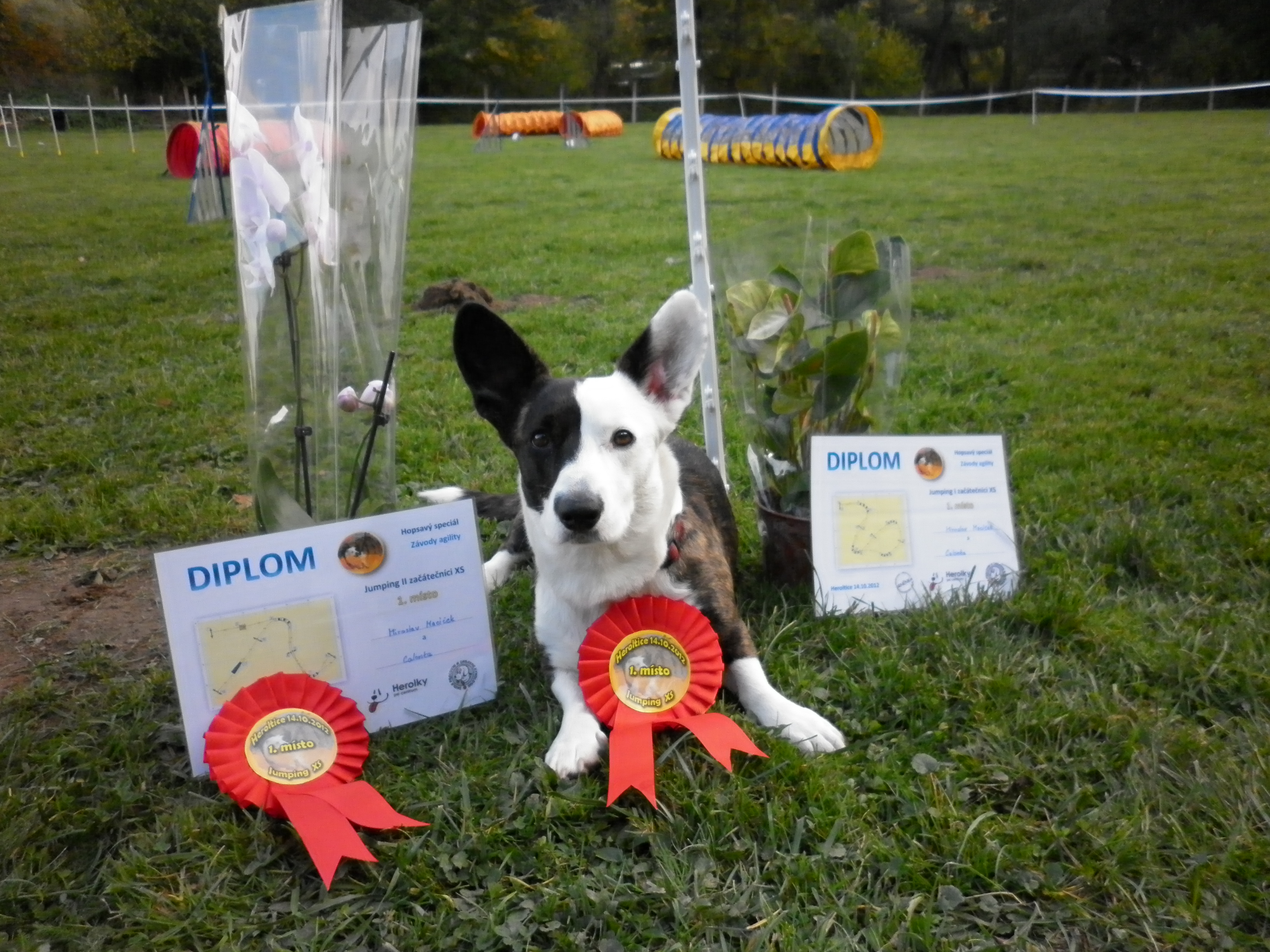 Hopsavý speciál 14.10.2012