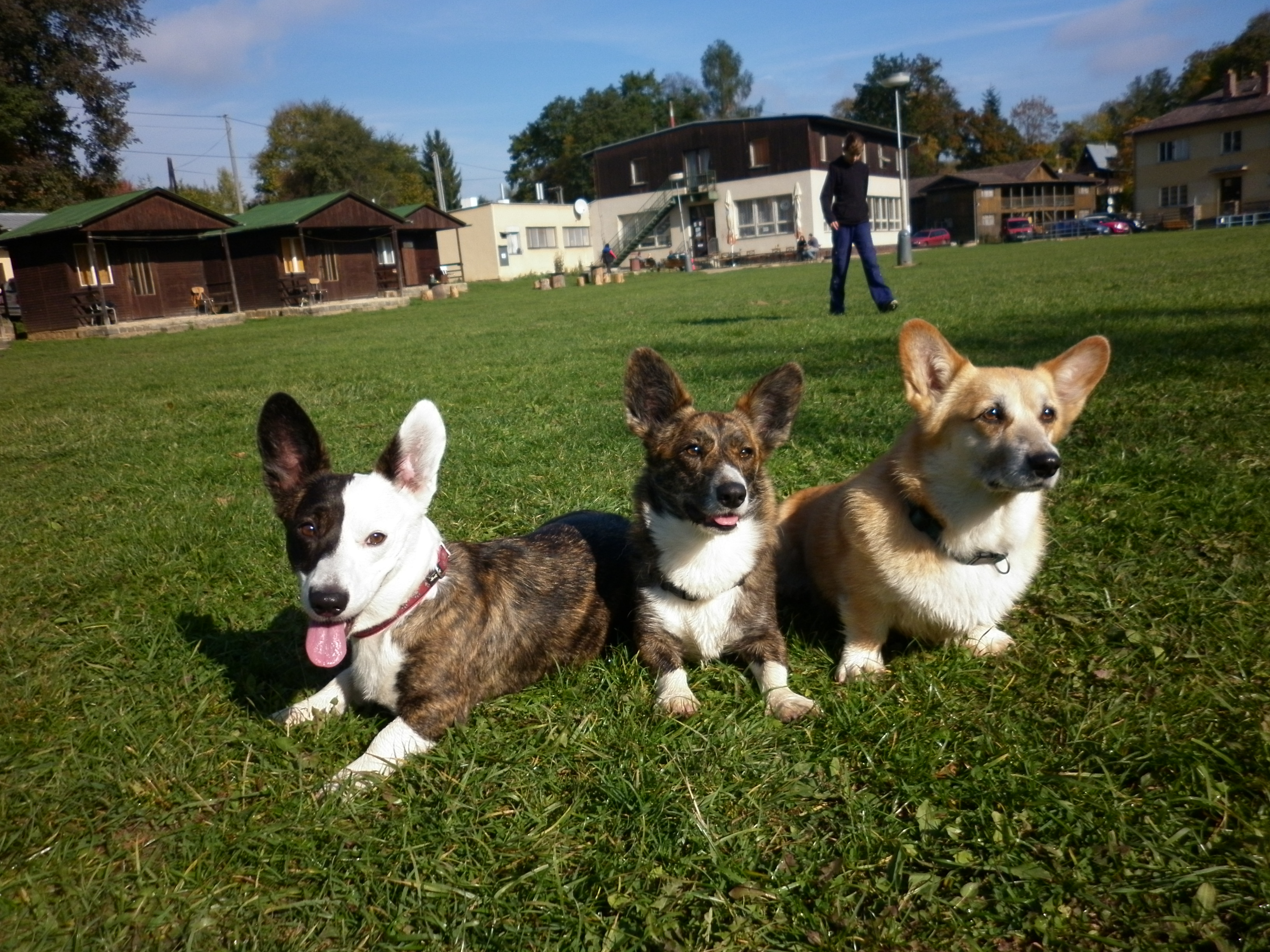 Heroltice 14.10.2012