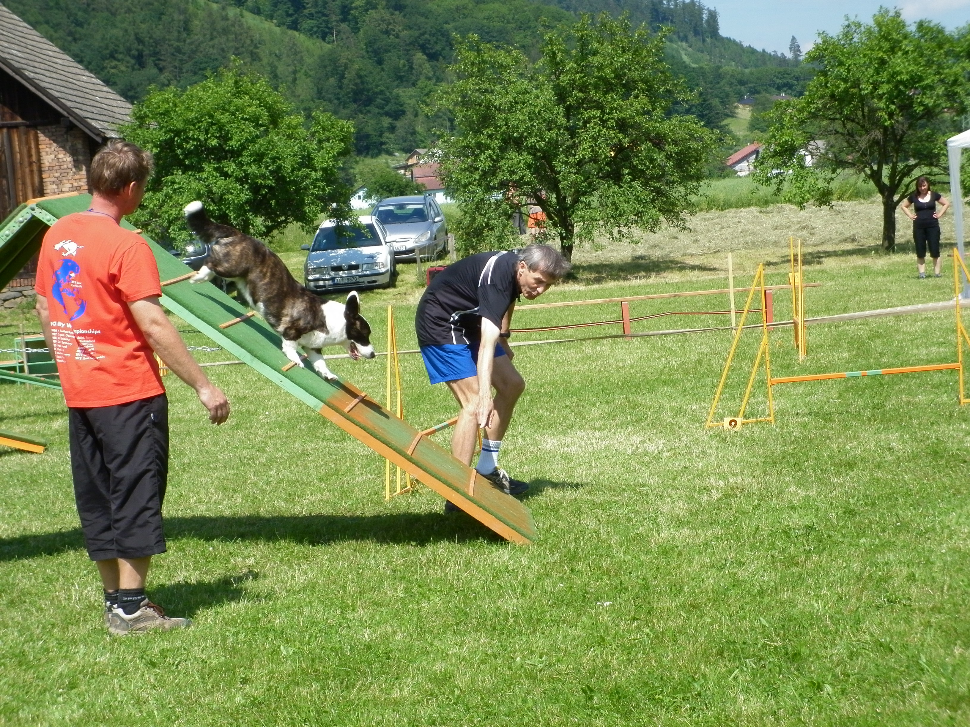 AgiDivošský pohár 15.6.2013