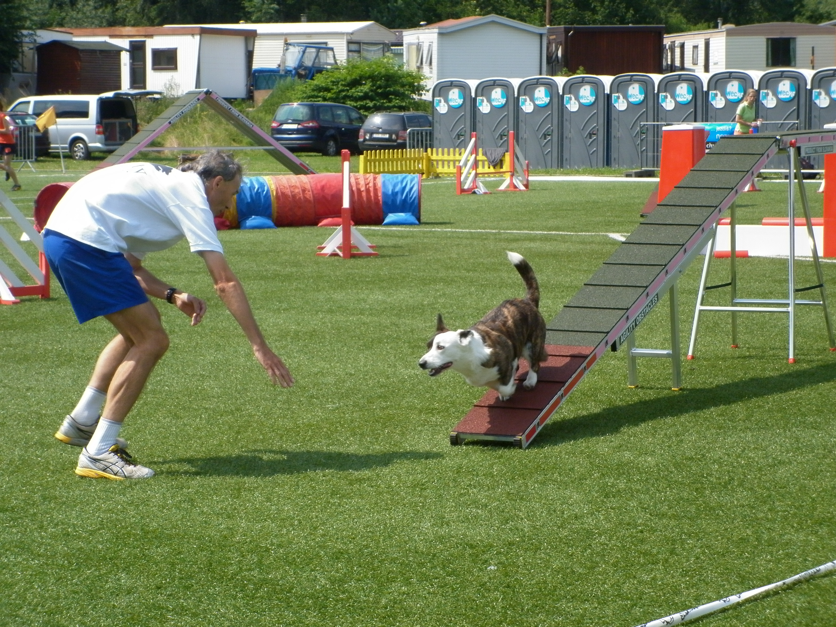 Agility IV. 7.7.2013