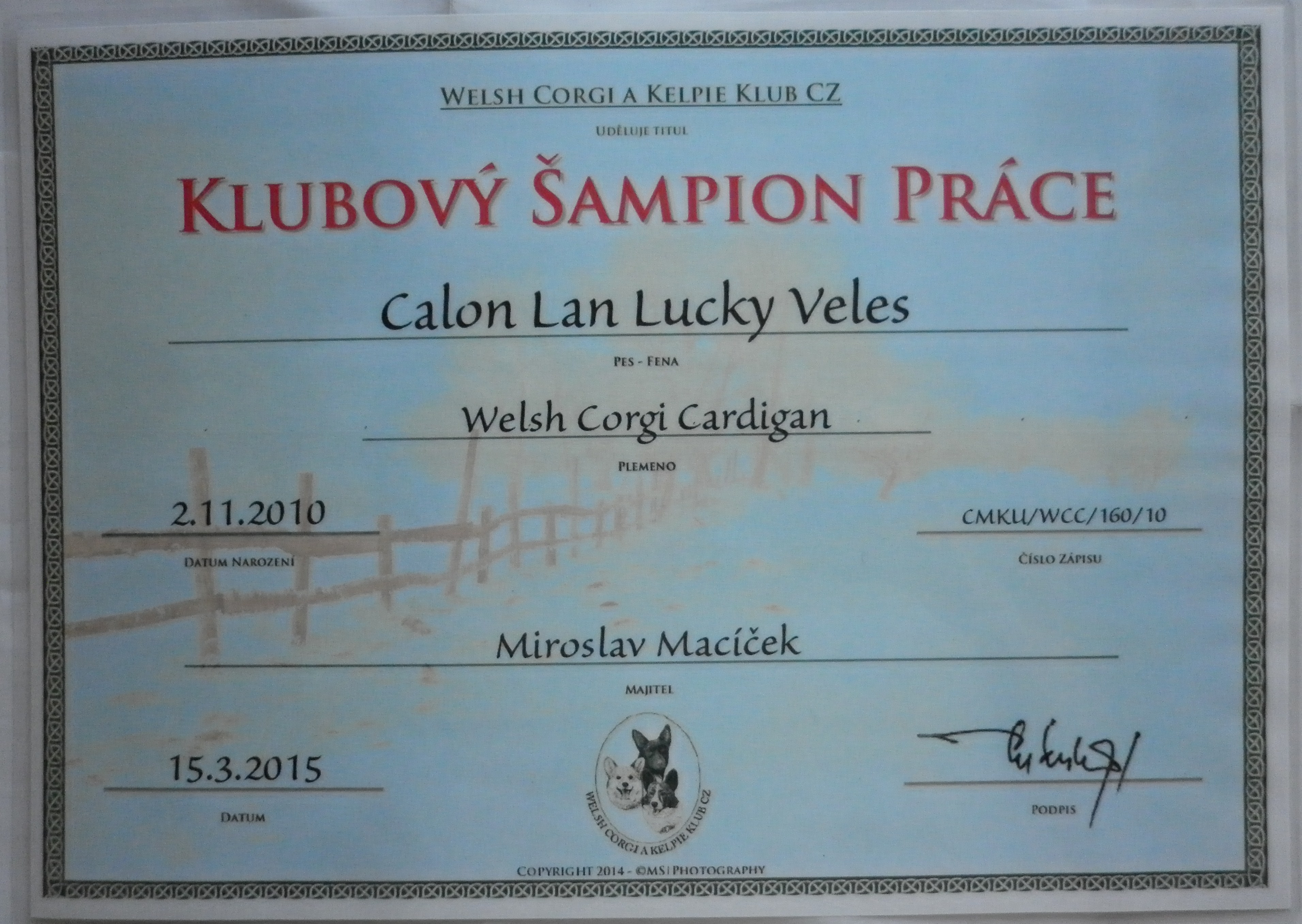 Calončin titul - KLUBOVÝ ŠAMPION PRÁCE